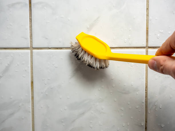 Best Professional Mold Removal  in Weslaco, TX