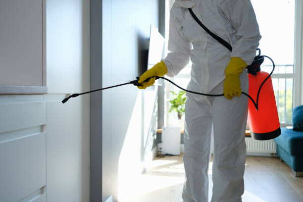 Mold Testing and Removal in Weslaco, TX