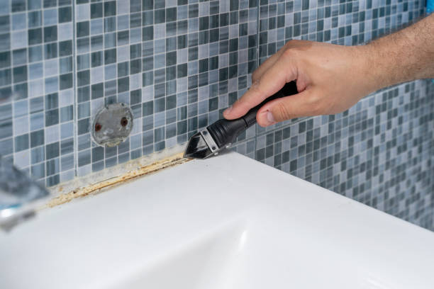 Best Certified Mold Removal  in Weslaco, TX